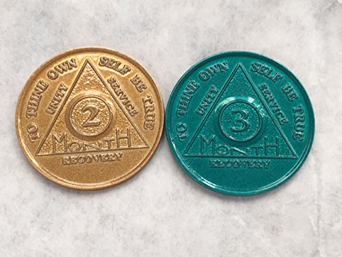Set of 12 Aluminum AA Medallions Chips 24 Hours Months 1-11 Alcoholics Anonymous Medallion Chip Bulk Lot - Thumbnail 4