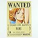 Bluefun Anime One Piece Pirates Wanted Posters 9pcs Set - Style New
