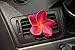 Bahama & Co. Scented Vent Flower, Tropical Breeze 06752