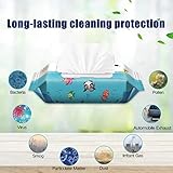 Antibacterial Wet Wipes, Hand Moist Wipes, Fresh Scent Clean Hand Health Care, 60 Wipes/Pack (White)