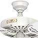 Hunter Original Indoor / Outdoor Ceiling Fan with Pull Chain Control