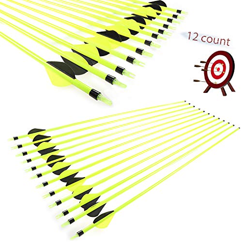 JY-Sports Targeting Arrows 30'' Inch Carbon Fiber Hunting Arrows Outdoors Archery Green Shaft with Replace Arrow Tips and Removable Nock for Compound Bow a Dozen Arrows in Box (Green)