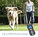 PATPET Remote Dog Training Collar - Rainproof - 330yd Remote Dog Shock Collar with Beep, 16 Levels of Vibration and Shock Electronic Collar - All Size Dogs (10Lbs - 100Lbs) … (008)
