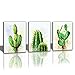 Canvas Wall Art Cactus Picture Canvas Prints Desert Plant Painting Stretched and Framed Ready to Hang for Home Office Wall Decor 12x16inchx3panels