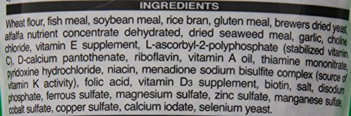 Hikari 8.8-Ounce Cichlid Staple Floating Pellets for Pets, Medium