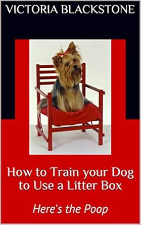 train puppy to use litter box