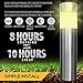 LowVoltz Solar 6 Pack Stainless Steel Solar LED Path Lights. Outdoor Solar Pathway Lights Garden, Yard Walkway. Modern Design, Solar Path Landscape Lighting, Longest Charge (Stainless Steel Round)