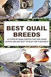 Best Quail Breeds: 10 Types Of Quail Breeds That Are Good Layers And Are Best To Keep For Their Meat by Francis Okumu