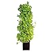 Florafelt Compact Vertical Garden Kit - Living Wall System