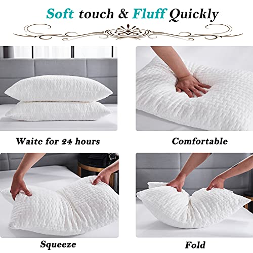 Bioeartha Memory Foam Pillows for Sleeping 2 Pack, Standard Size