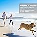 Shock Collar for Dogs,PATPET Waterproof -IPX7 and Rechargeble Remote Dog Traning Collar with Vibration/Shock/ Beep for All Size Dog,Blind Operation,Range up to 660yd