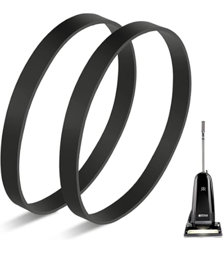 Eureka Type AS Bags 3 Pk Upright Vacuum Micro Filtration Generic Part 319