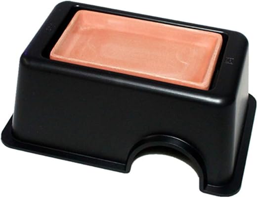 amazon reptile store