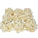 Luyue Silk Hydrangea Heads Artificial Decoration Flowers Garden Floral Decor,Pack of 10 (Champagne)