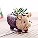 Tinksky Ladybug Piggy Stump Flower Sedum Succulent Pot Planter Bonsai Box Plant Bed Home Garden Pot Decor christmas gift