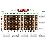 Amazon.com: Dobro Fretboard Chart Resonator Guitar Poster - E Tuning ...