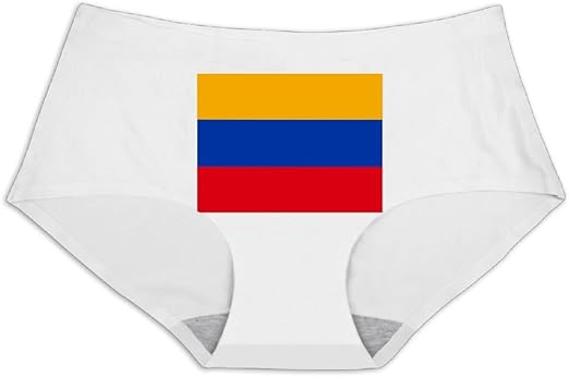 Amazon Com One Suit Armenian Flag Women S Underwear Bikini