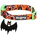 Blueberry Pet Halloween Mystery Disguise Classic Designer Adjustable Dog Collar with Decoration, Large, Neck 18