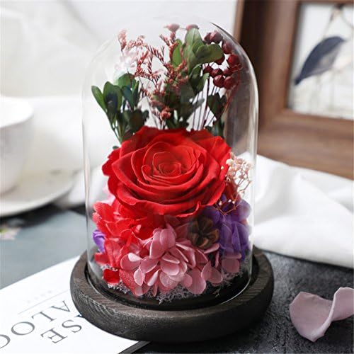 Beauty And The Beast Rose, Live Forever Rose in Glass, Live Enchanted Rose, Preserved Rose %100 Natural