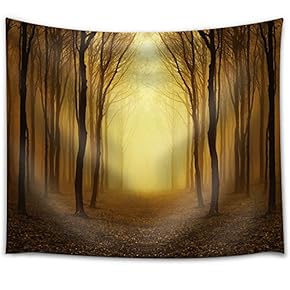 Symmetry of a Forest as The Sun Sets - Fabric Tapestry, Home Decor - 51x60 inches