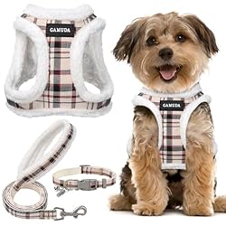 GAMUDA Small Pet Harness Collar and Leash Set, Step