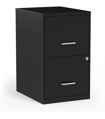 Amazon.com: STAPLES Vertical File Cabinet for Letter/Legal Files
