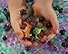 SENSORY4U Water Beads Sensory Bin Therapy Kits - 4 Dew Drop Sets Included - Ocean Explorers Jungle Excursion, African Safari, Dinosaur Discovery.