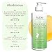 Babo Botanicals Purifying Swim & Sport 2-in-1 Shampoo & Wash with Natural Cucumber and Aloe Vera, for Babies, Kids or Sensitive Skin 16 Fl Oz