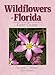 Wildflowers of Florida Field Guide (Wildflower Identification Guides)
