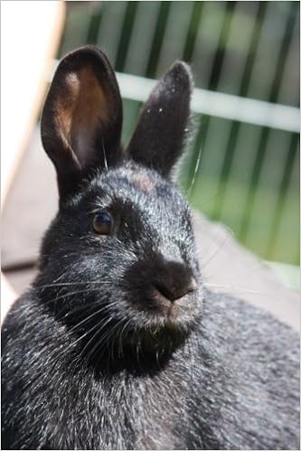 Black Haired Rabbit Journal Take Notes Write Down Memories In