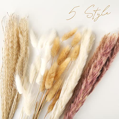 JOHOUSE 60pcs Dried Pampas Grass,White Brown Pampas Reeds Dried Bunny Tails Flowers Vase Boho Home Decor