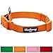 Blueberry Pet 4 Colors Better Basic Dog Collar, Orange Fusion, X-Small, Neck 7.5