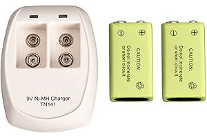 GARRETT METAL DETECTORS Garrett Recharger Kit for Garrett SuperWand and THD - 2 NiMH Batteries and 110 Volt Charger 1612000