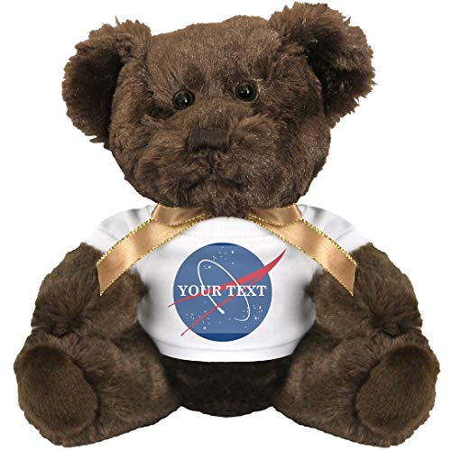 nasa teddy bear