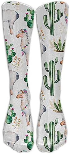 NEW Hot South Desert Plant Cactus Pattern With Camel Animal Fashion Stylish Knee High Socks For Women And Men--Fitness Novelty Crew Athletic Socks Comfortable Knee High Sock