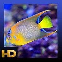 Peaceful Aquarium HD