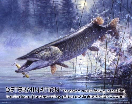 Amazon Com Fishing Motivational Poster Art Print Large Mouth Bass