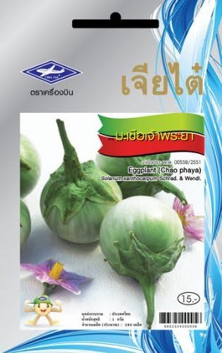 Chao Phaya Eggplant Seeds (240 Seeds)