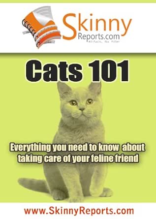taking care of cats 101