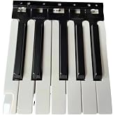 NDHWHE 12 Keys White Black Keys Keyboard Parts Compatible For Yamaha DGX-660 DGX-650 DGX-640 DGX-630 MM8 MOX8 MOXF8 Electronic Piano Replacement