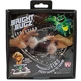 Nowstalgic Toys Bright Bugz Evolution White