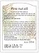 ECO NAVA | Pine Nut Oil | 100% Natural Extra Virgin Cold Pressed | Unrefined Raw No-GMO Vegan | Gluten-Free | Premium Food Grade | Great For Cooking & Skin Applications (300 ml / 10.5 fl oz)