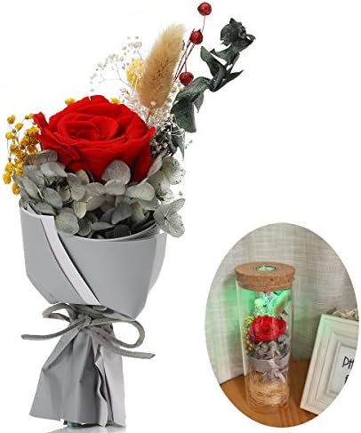 Forever Flowers BABALI RGB LED Lights Decoration Real Natural Fresh Handmade Never Withered Rose Preserved Rose In Glass Jar, Gift for Valentine Mother's Day Wedding Birthday Anniversary (Red Rose)