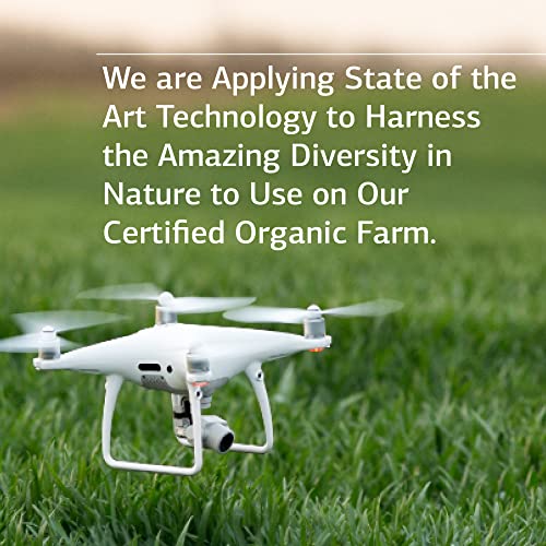 Standard Process Iplex Whole Food Vascular Supplement, Eye Health and