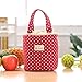 Paymenow Thermal Insulated Lunch Box Cooler Bag Tote Bento Pouch Lunch Container Handbag(Red)
