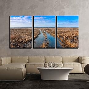 3 Piece Canvas Wall Art - Flooded Rut Road in Steppe - Modern Home Art Stretched and Framed Ready to Hang - 16"x24"x3 Panels
