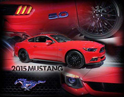 2015 Mustang 5.0