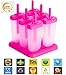 Lebice Popsicle Molds Set - BPA Free - 6 Ice Pop Makers + 1 Extra Silicone Lid + Silicone Funnel + Cleaning Brush + Recipes E-book