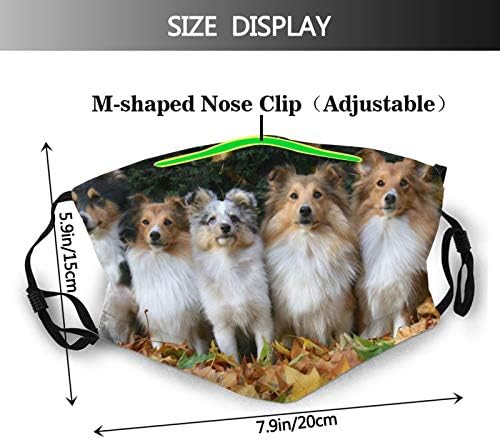 Colorful face masks displayed in a pack for $12.99.