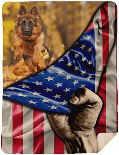 american german shepherd size